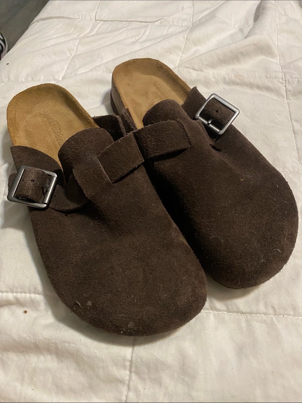 Steve Madden Brown Suede Slip-On Clog with Buckle